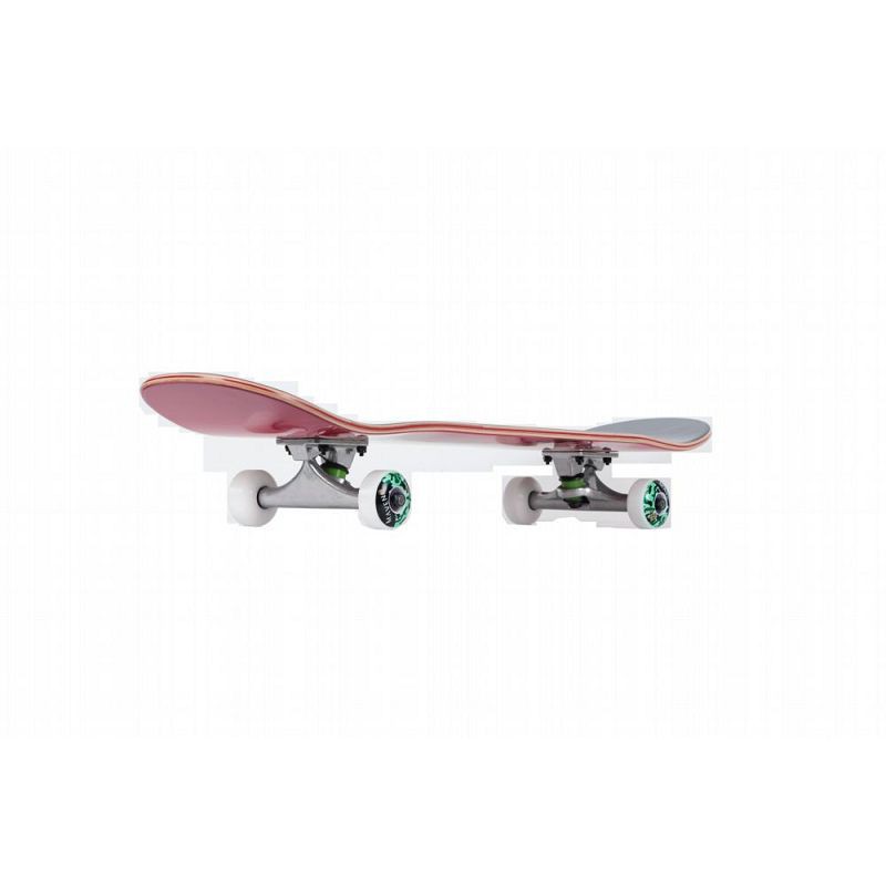 Complete Skateboard Pro